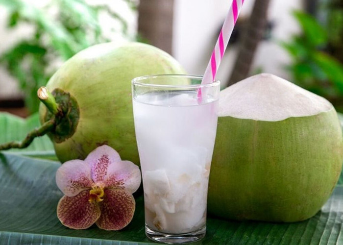 Es Kelapa Muda, Minuman Segar yang Tetap Diminati Masyarakat
