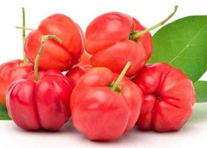 Acerola Cherry : Kecil Buahnya Besar Manfaatnya, Bisa untuk Mengencangkan Kulit