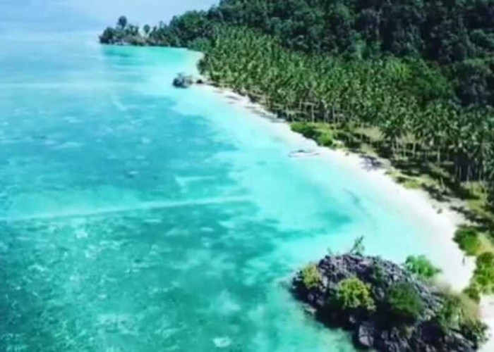 Melihat Keindahan Alam Sulawesi: Destinasi Wisata Memukau dari Bunaken hingga Gunung Rinjani