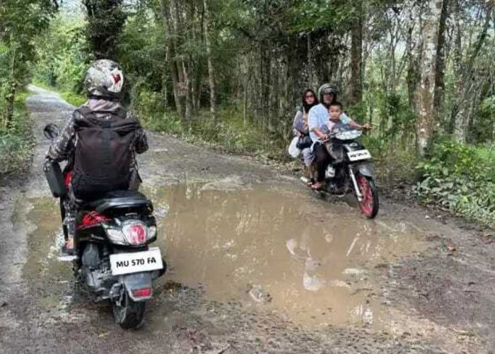 Jalan ke Talang Aman Batukuning OKU Rusak Parah