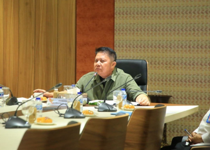 Herman Deru Tancap Gas Percepat Listrik Masuk Desa, Bersinergi dengan Kementerian Kehutanan dan PLN