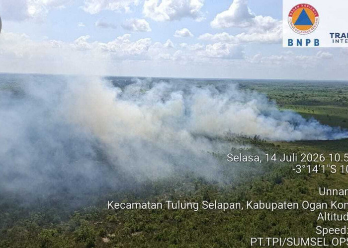Kabupaten OKI Masuk Zona Oranye Karhutla, BPBD Imbau Jangan Buka Lahan dengan Cara Membakar