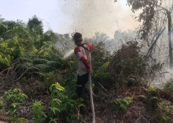 Kebakaran Lahan Terjadi di desa Medak Muba, PT Tiesico Cahaya Pertiwi Kerahkan Tim Pemadam