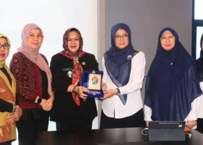 Penuhi Kebutuhan Dokter Spesialis di RSP Lewat Penugasan Khusus 