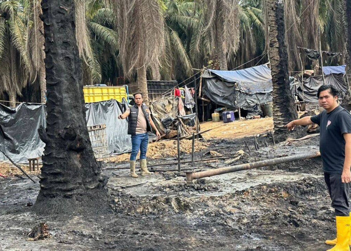 Lagi Sumur Ilegal di PT Hindoli Terbakar, Ini Penyebabnya