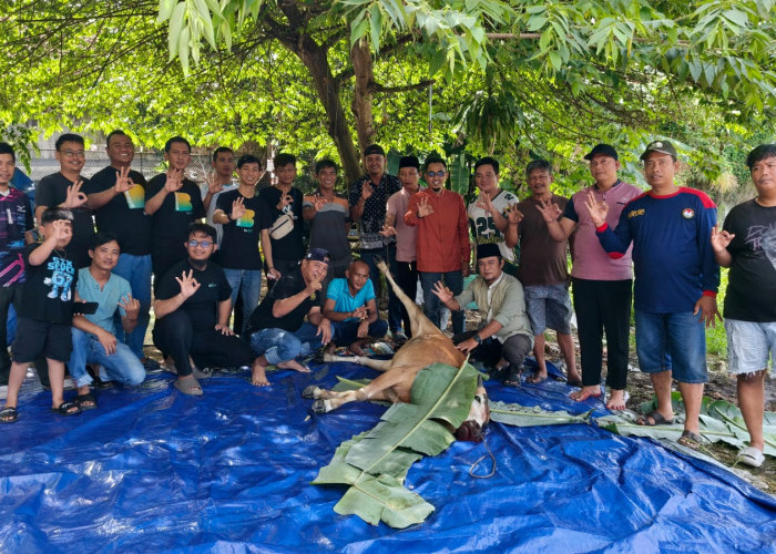 Momentum Idul Adha 1447 H, BSI Prabumulih Bersama Wartawan Berbagi Hewan Kurban