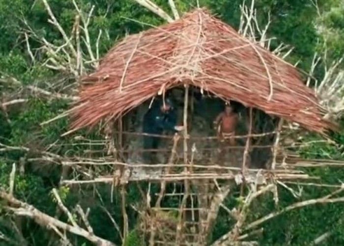 Eksploitasi Kehidupan Suku Korowai di Pedalaman Papua: Dari Rumah Pohon Hingga Perubahan Lingkungan