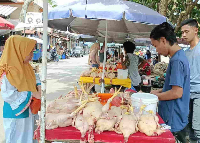 Harga Daging Ayam Putih di Kayuagung Naik 5 Ribu Perkilogram