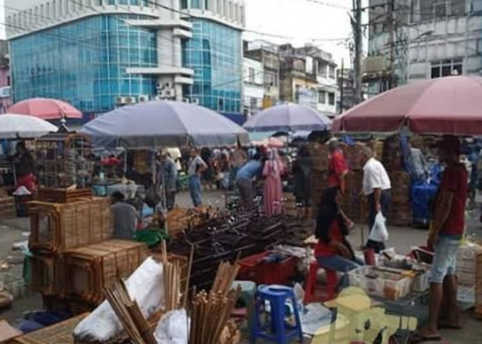 Bagi Pecinta Hewan Belum Lengkap Kalau Belum ke Pasar Burung Palembang Menawarkan Ragam Hewan Peliharaan, 