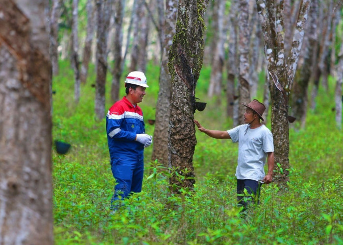 PGN Group Raih Penghargaan PROPER EMAS dan HIJAU 2025, Bukti Konsistensi Inovasi Sosial dan Lingkungan