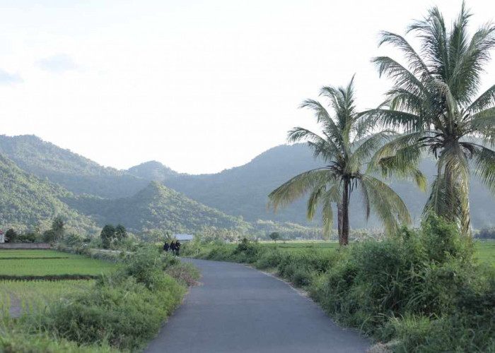 Berbasis Gotong Royong, Desa Manemeng Perkuat Ekosistem Ekonomi Kerakyatan melalui Program Desa BRILiaN