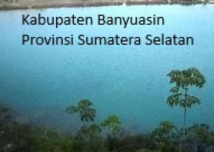 Pemekaran Kabupaten Banyuasin: Membangun Dua Kabupaten Baru untuk Kemajuan Sumatera Selatan