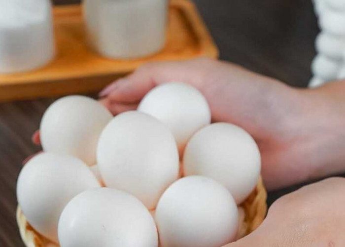 Panduan Praktis Membedakan Telur Omega dari Telur Biasa untuk Kesehatan Optimal