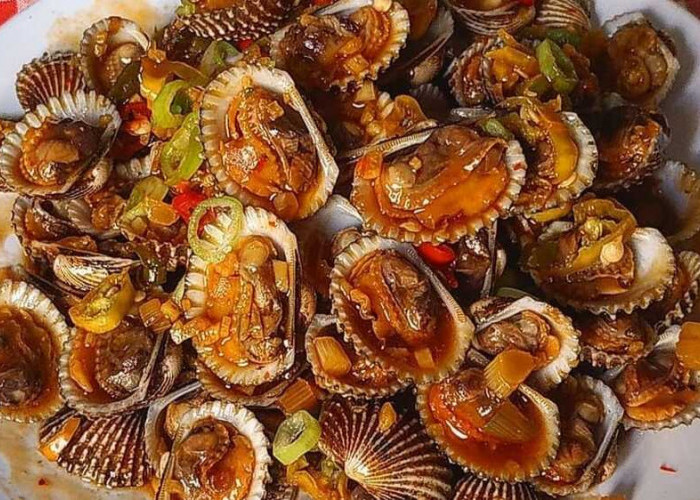 Seafood Kerang Dara: Lezatnya Hidangan Lautan yang Kaya Gizi