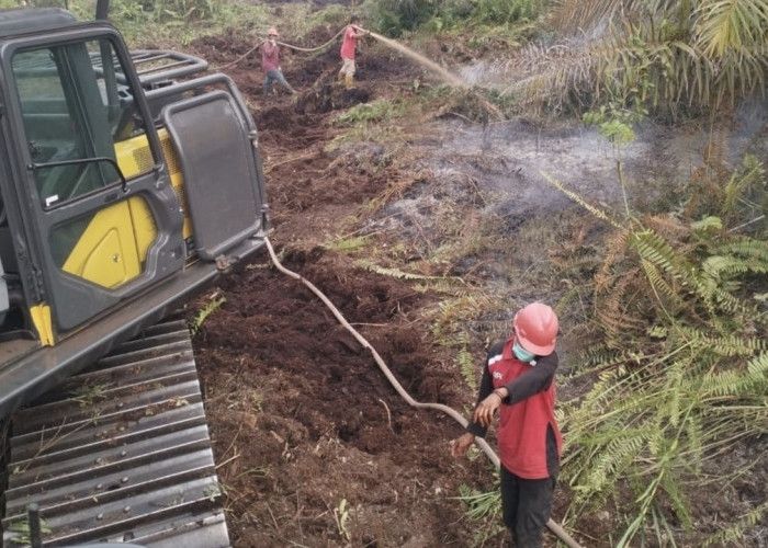 PT Tripupa Jaya Kerahkan 54 Personel dan Heli Water Bombing Padamkan Karhutla di Muara Medak