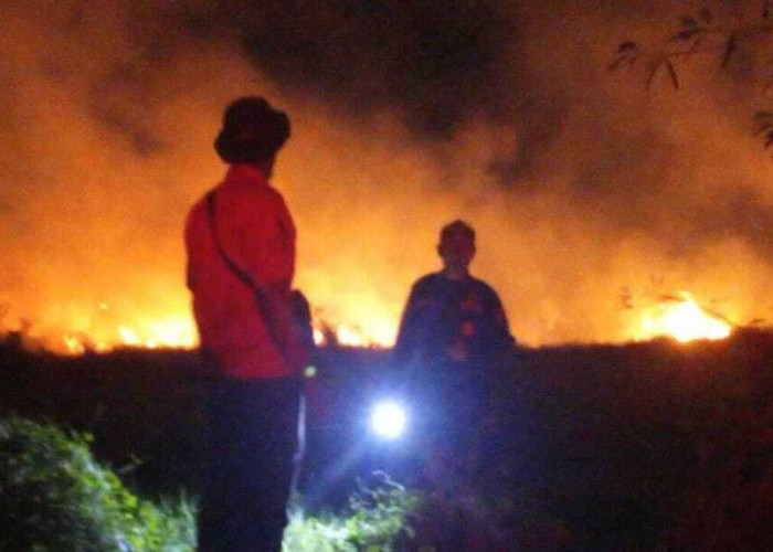 Kebakaran Lahan Seluas 12 Hektare di Sungai Rambutan Ogan Ilir Berhasil Dipadamkan
