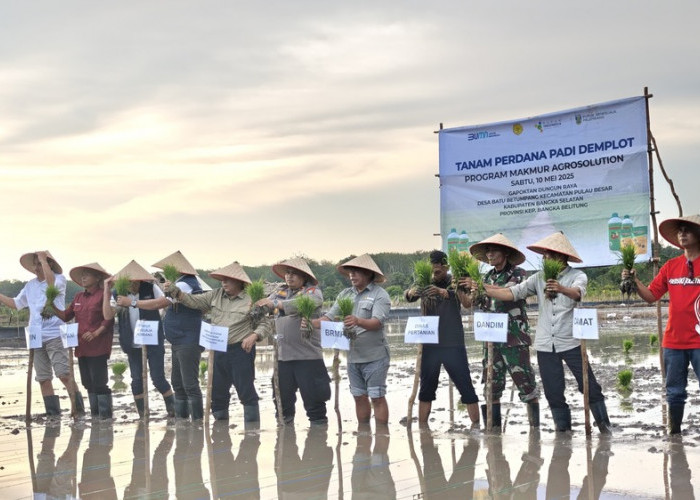 Pusri Dukung Asta Cita Swasembada Pangan di Bangka Selatan