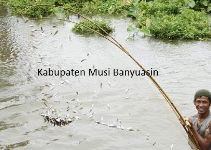 Pemekaran Wilayah Sumatera Selatan Menggema: Rencana Pembentukan 3 Kabupaten Baru di Musi Banyuasin