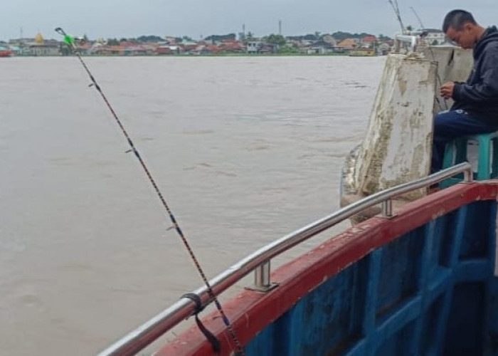 Air Sungai Dingin Ikan Tidak Mau Makan Umpan? Ini Cara Mengatasinya, Pemacing Harus Tahu ! 