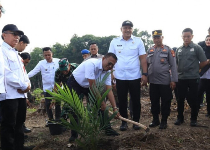 Perkuat Sektor Pertanian, Pemkot Prabumulih Laksanakan Kegiatan Tebas Tebang Lahan Pertanian