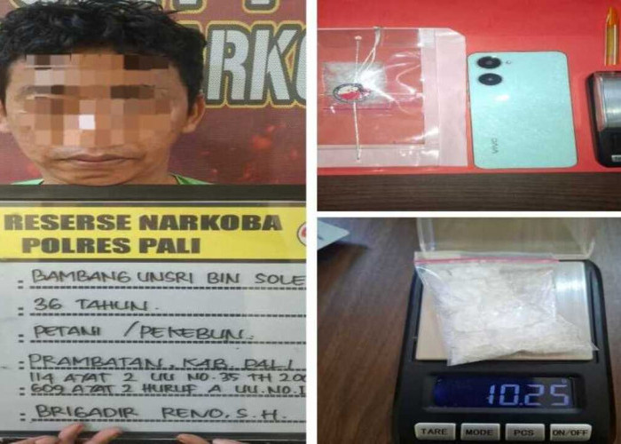 Polres PALI Bongkar Sarang Pengedar Sabu di Pondok Kebun Sawit Prambatan Abab, 10,25 Gram Disita