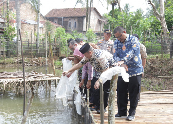 Bupati OKU Tebar 11 Ribu Benih Ikan Patin di Desa Bunga Tanjung