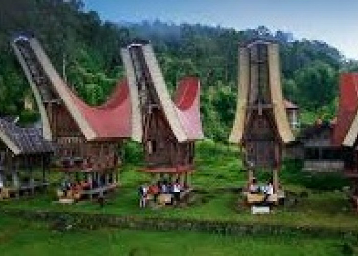 Pemekaran Wilayah Sulawesi Selatan: Fakta Menarik Kabupaten Tana Toraja Calon Ibukota Provinsi Baru