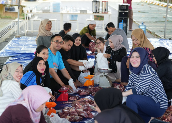 Kejati Sumsel Berbagi Dengan Memotong 12 Ekor Sapi dan 5 Kambing, Salurkan 1.000 Paket Daging Kurban