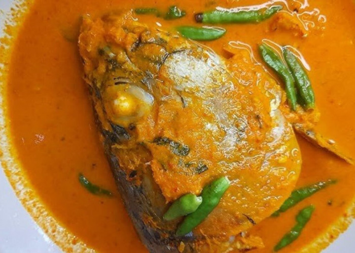 Gulai Kepala Ikan Tuna, Hidangan Nusantara yang Kaya Rasa dan Tradisi