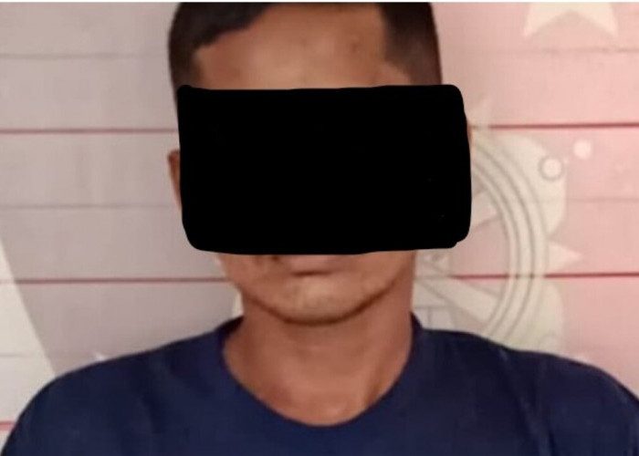 Kepergok Curi Sawit, Warga Lubai Ulu Muaraenim Ditangkap Polisi