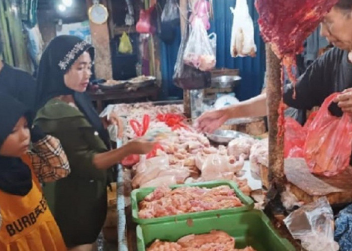 MBG Libur, Penjualan Telur dan Daging Ayam Potong di OKU Babak Belur