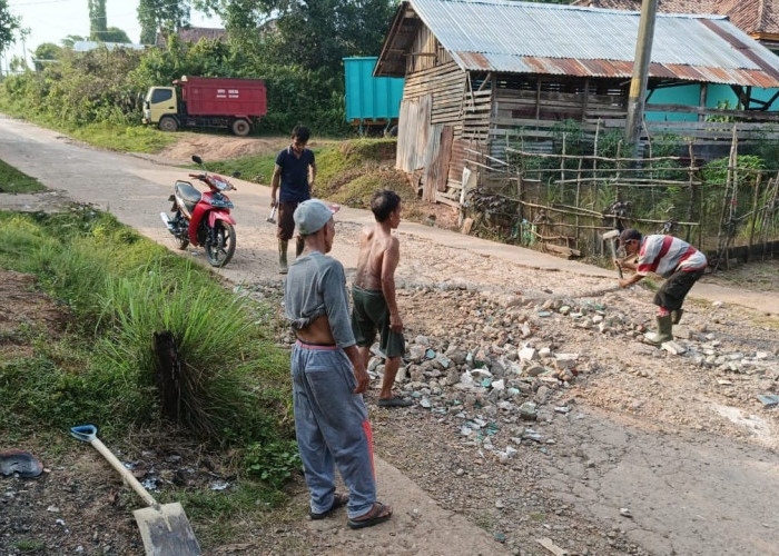Warga Desa Tanjung Beringin Gotong Royong Perbaiki Jalan Rusak