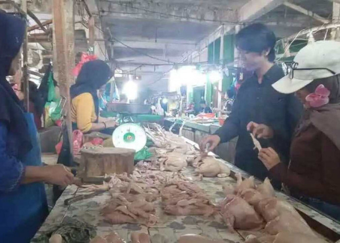 Harga Telur di OKU Kini Rp24 Ribu Perkilogram