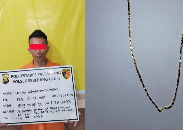 Pelaku Jambret Bermotor yang Meresahkan Masyarakat Diringkus, Ini Tampang Pelaku