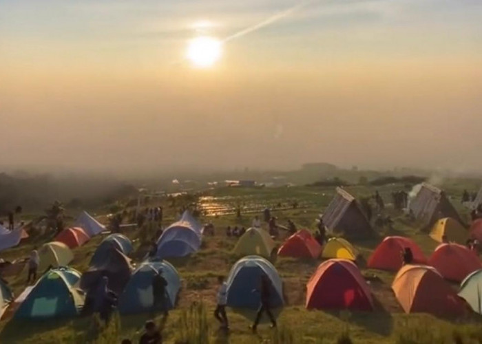 Camping Ground: Nikmati Keindahan Kebon Raya Dempo Pagaralam Sumatera Selatan