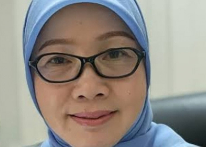 Dinkes Siapkan Inovasi Daftarkan NIK Bayi Baru Lahir