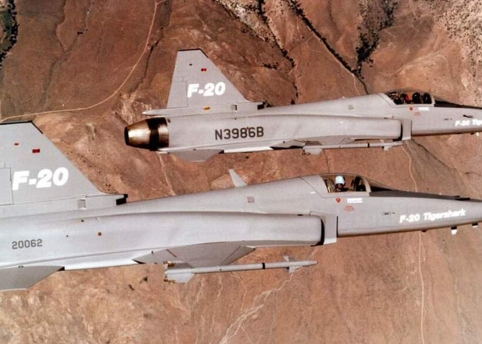Kisah Si Hiu Macan F-20 Tigershark, Pesawat Tempur yang Bernasib Buruk