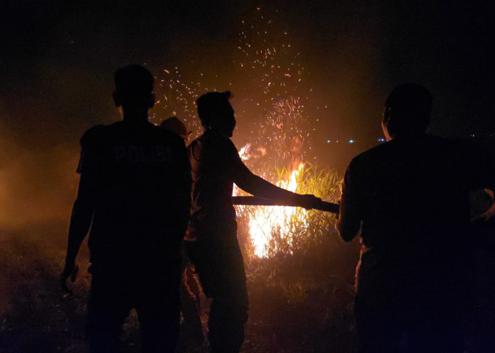 Kebakaran Lahan Gambut di Ogan Ilir Meluas, Petugas Kerahkan 35 Personel Lakukan Pemadaman
