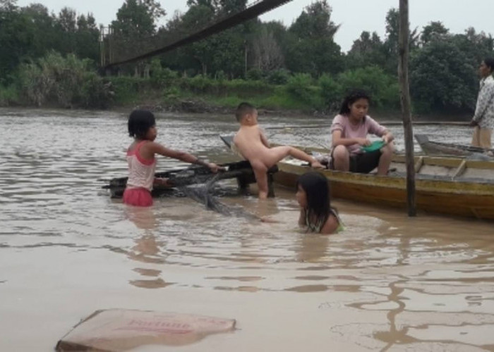 Minta DLH Investigasi Dugaan Pencemaran Sungai Lengi 