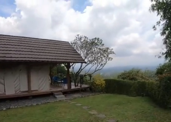 Camping Estetik di Taneuh Polaris: Destinasi Hits Buat Kamu yang Ingin Liburan Ala Glamping di Bogor
