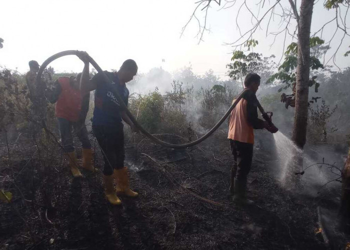 Empat Lokasi Karhutla di OKU, Tiga Titik Berhasil Dipadamkan