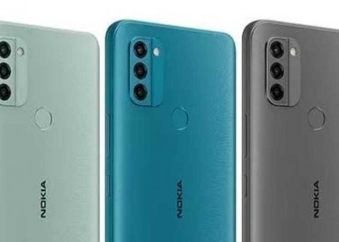 Nokia C31, Ponsel Terbaru 2024 dengan Layar Besar dan Baterai Tahan Lama