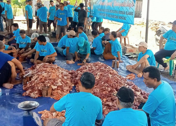 Masjid Syarif Hidayat Sembelih 10 Sapi dan 1 Kambing Kurban, Jemaah Antusias Gotong Royong