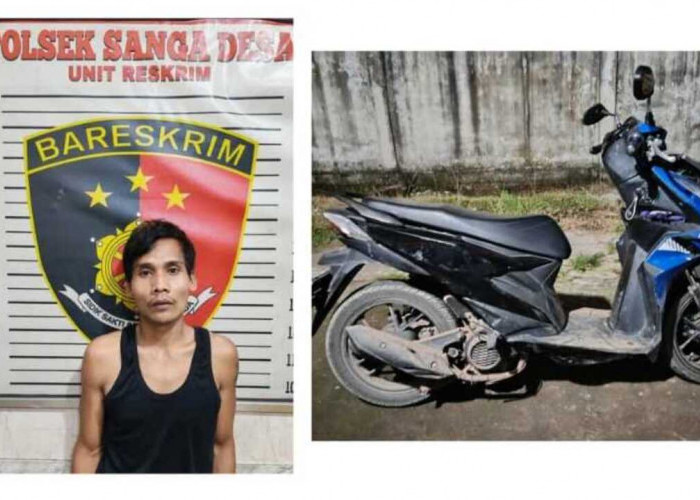 Polsek Sanga Desa Ungkap Kasus Pencurian dengan Kekerasan, Tersangka Hendri Ditangkap