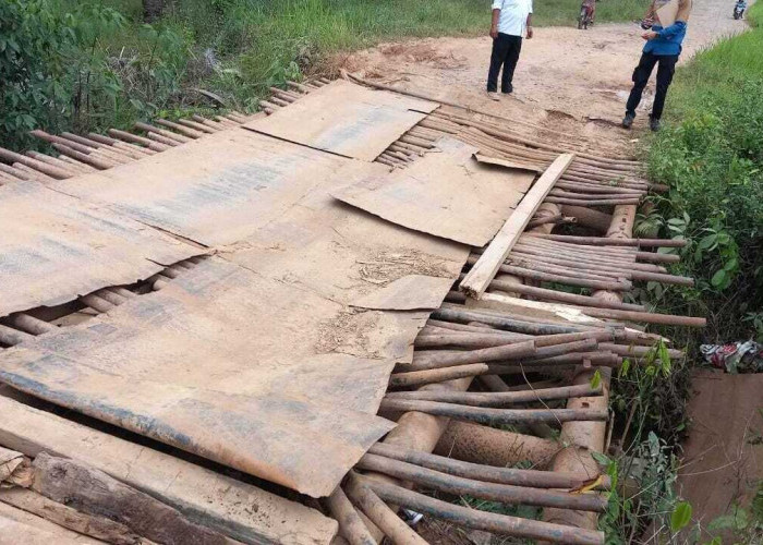 Pemkab Muba Segera Perbaiki Jembatan Desa Warga Mulya (B4)