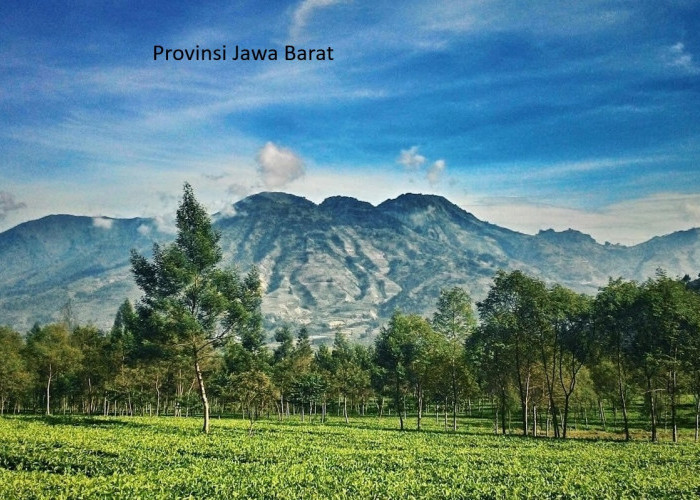 Pemekaran Wilayah Jawa Barat: Upaya Meningkatkan Pelayanan dan Pembangunan