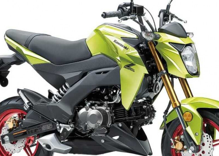 Motor Naked Mini Kawasaki Z125 Pro 2026 Resmi Meluncur: Kecil Tapi Bertenaga