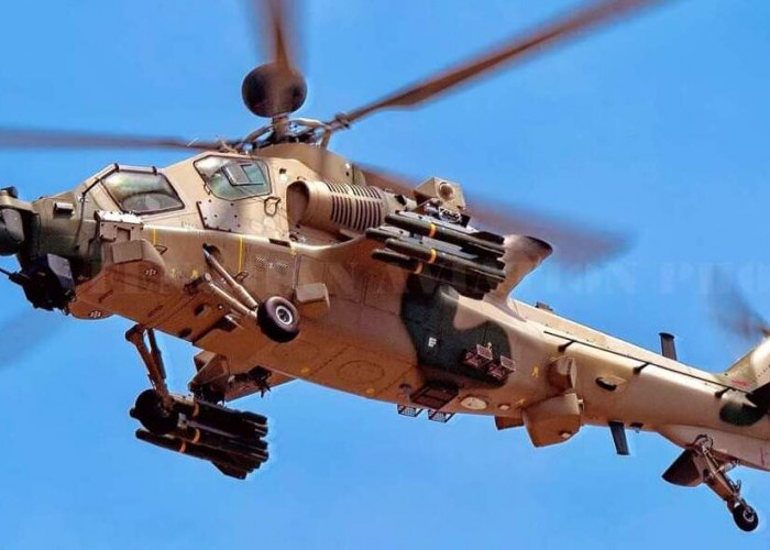 Mengenal Lebih Dekat Helikopter Serang WZ-10ME Buatan China