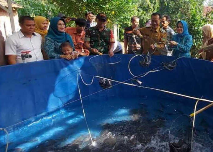 Panen Lele, Pj Wako Prabumulih: Pemerintah Bakal Beri Bantuan Mesin Pembuat Pakan Ikan