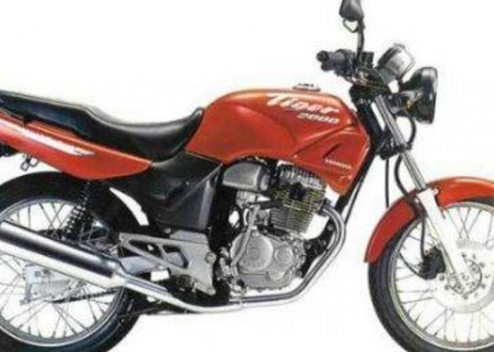 Honda Tiger 2000: Menyelami Pesona dan Kekuatan Motor Macho dari Era Milenium